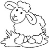 sheep_1.jpg